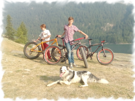 Bici e mountain bike