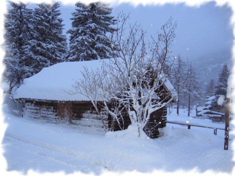 Sala proiezione Albergo ristorante Chalet del lago Ceresole Reale Parco Nazionale Gran Paradiso Saletta proiezioni