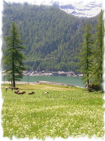 Lago Albergo ristorante Chalet del lago Ceresole Reale Parco Nazionale Gran Paradiso Lago di Ceresole Reale
