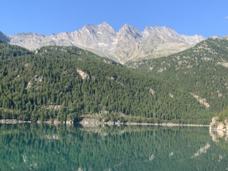 Dove siamo